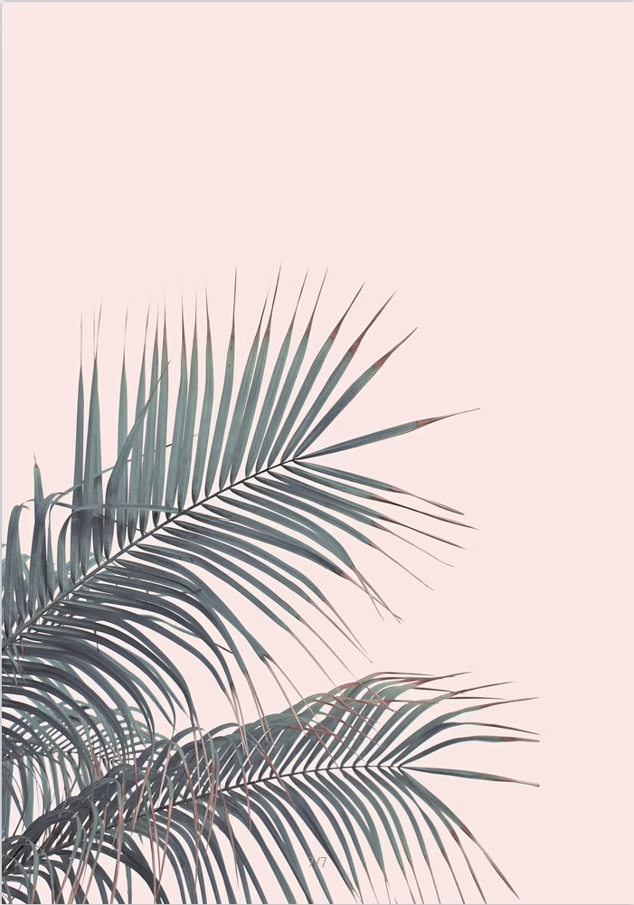 Coastal Canvas Duo - 2-Piece Set