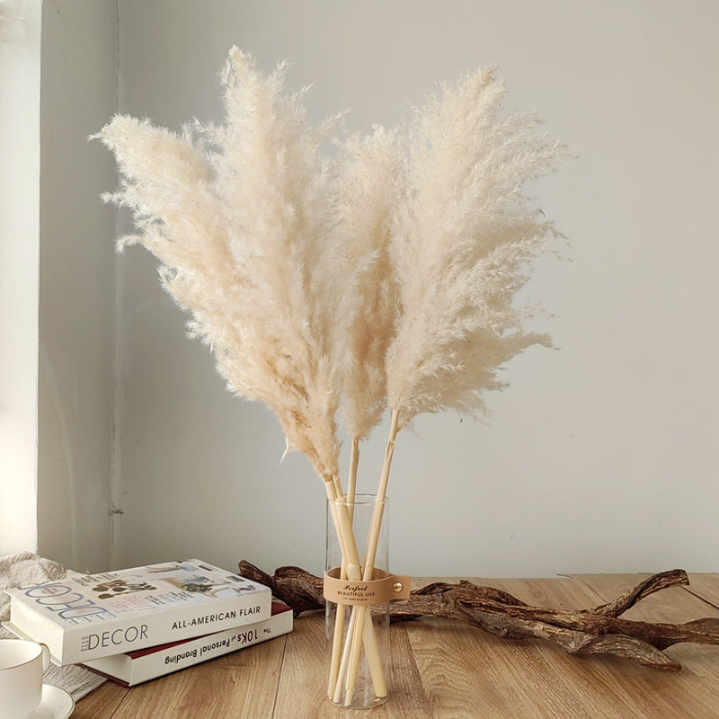 10-Piece Natural Dried Grass Plume Set