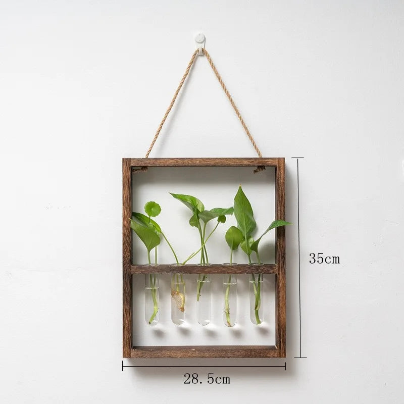 Plant Propagation Photo Frame to Display Your Garden Progress
