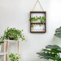 Plant Propagation Photo Frame to Display Your Garden Progress