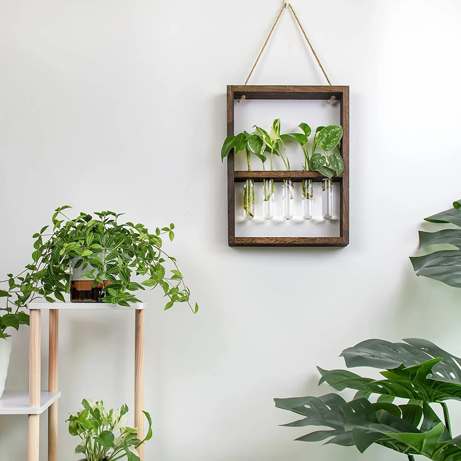 Plant Propagation Photo Frame to Display Your Garden Progress