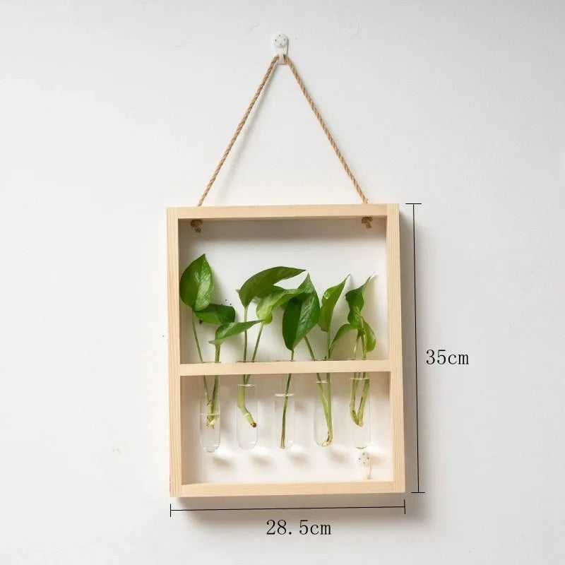 Plant Propagation Photo Frame to Display Your Garden Progress