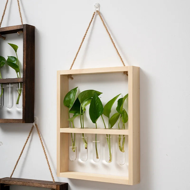 Plant Propagation Photo Frame to Display Your Garden Progress