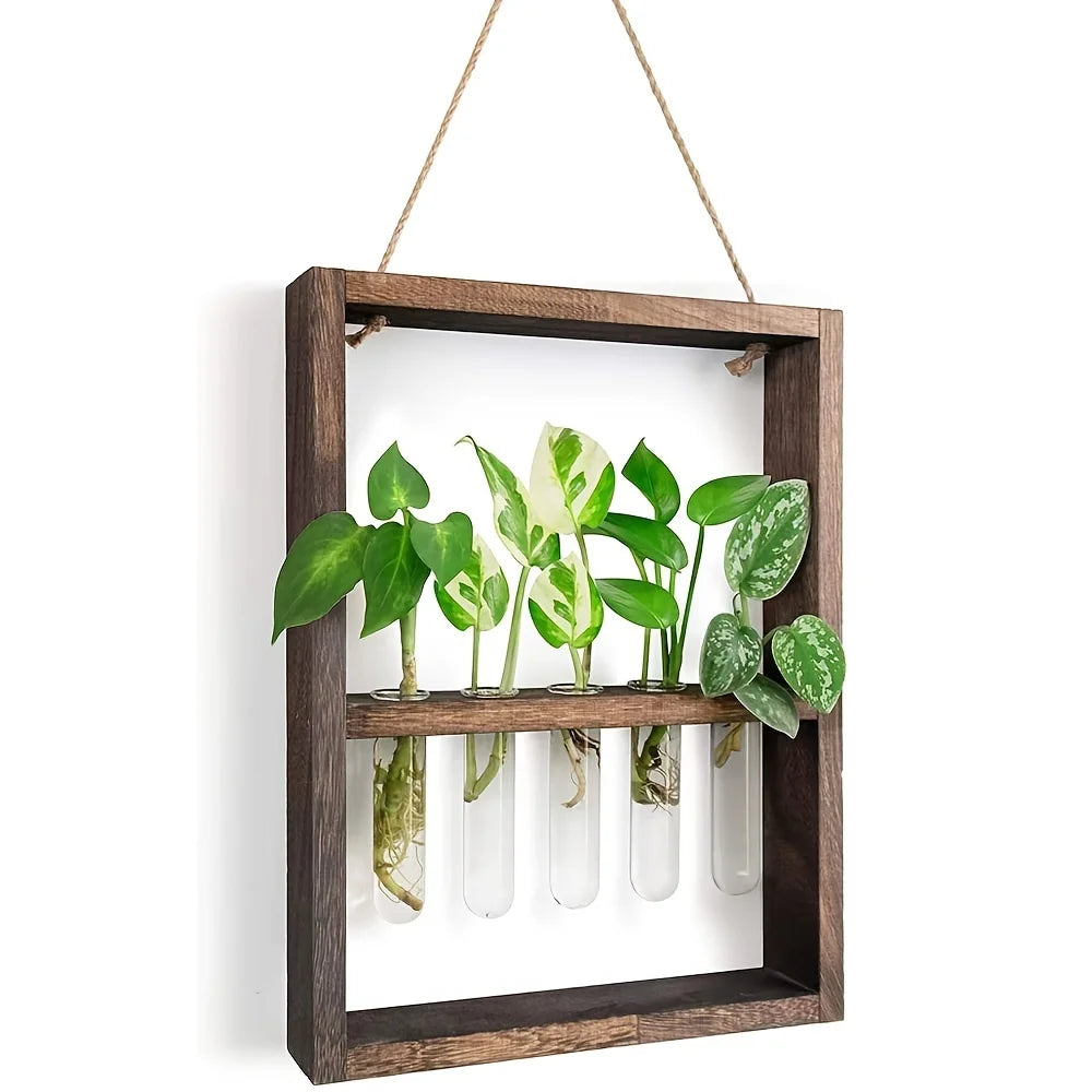 Plant Propagation Photo Frame to Display Your Garden Progress
