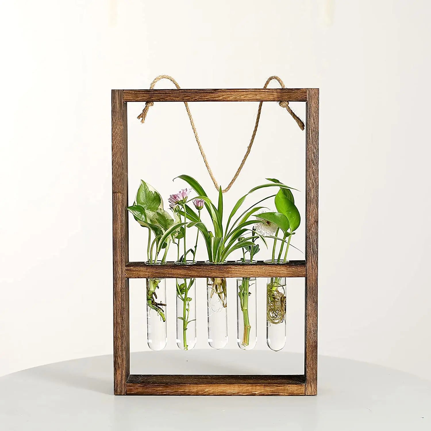 Plant Propagation Photo Frame to Display Your Garden Progress