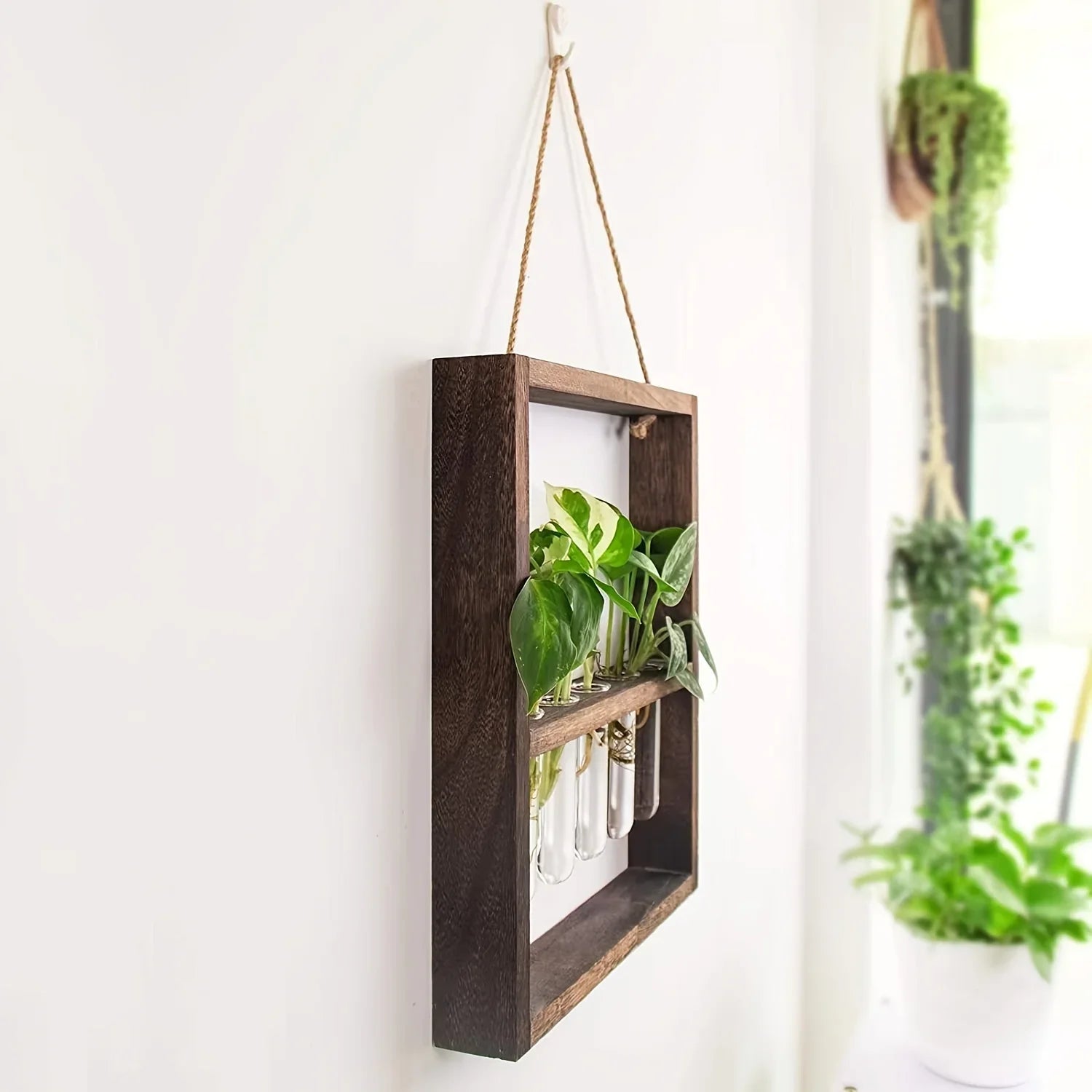 Plant Propagation Photo Frame to Display Your Garden Progress