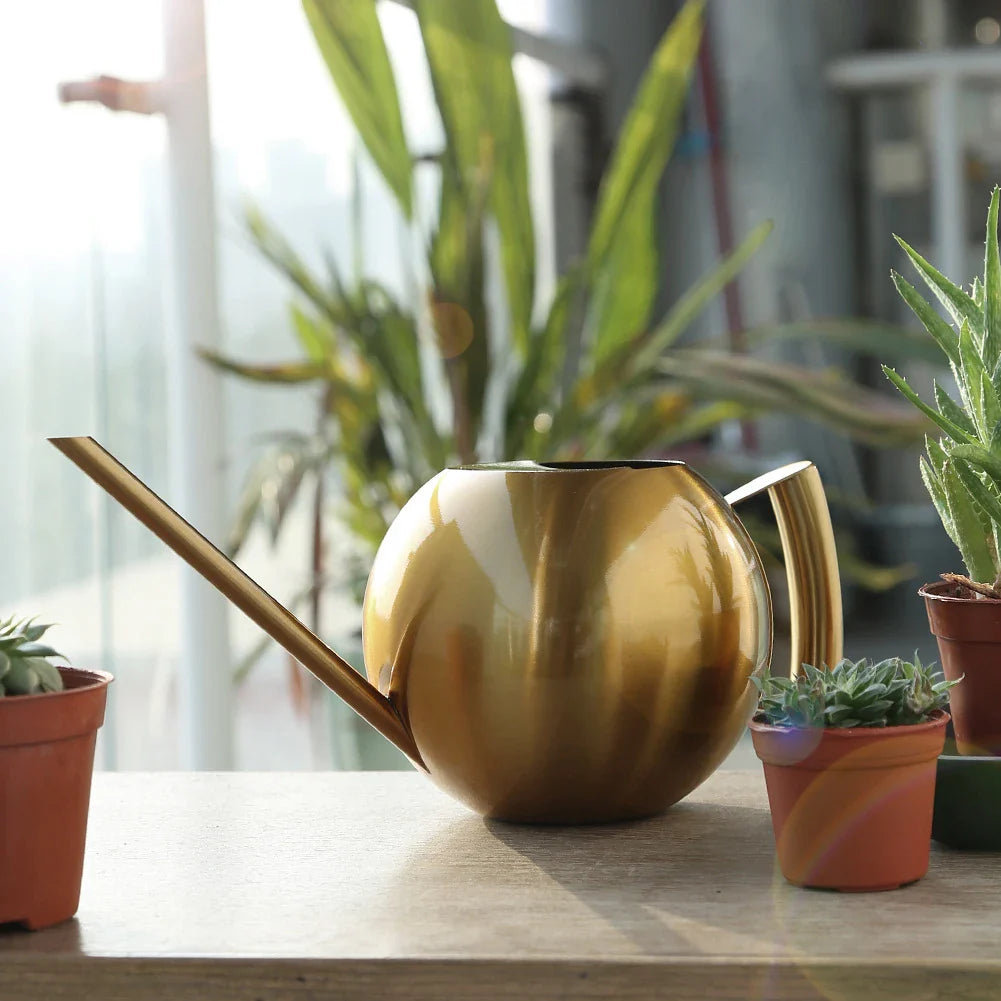 Sleek Minimalist Plant Watering Can