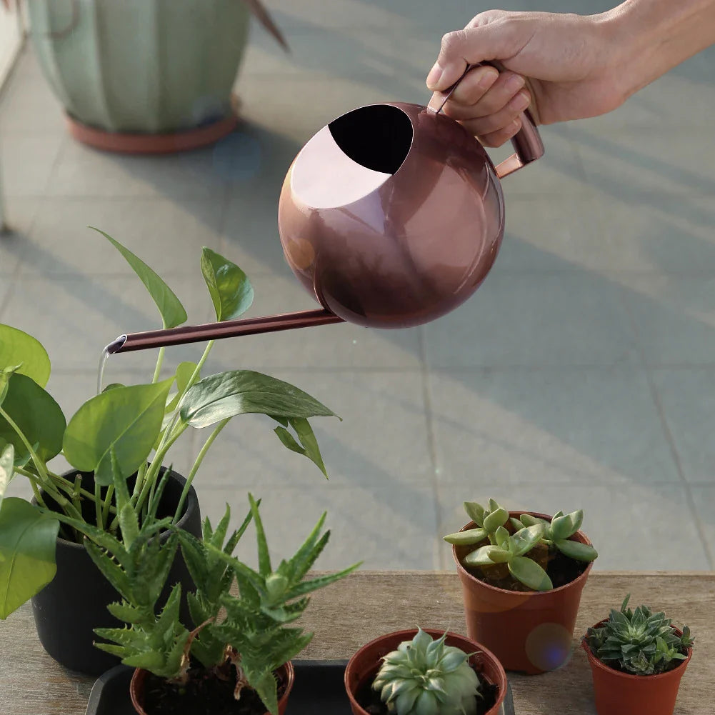Sleek Minimalist Plant Watering Can