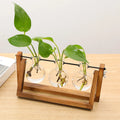 Multi-Tier Plant Propagation Stand for Easy Cloning and Growth