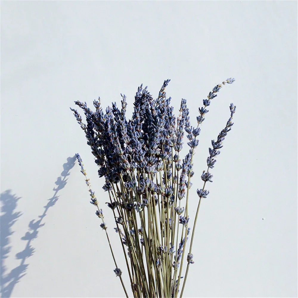 Pure Natural Dried Lavender Buds – Fragrant, Aromatic for Sachets and Potpourri