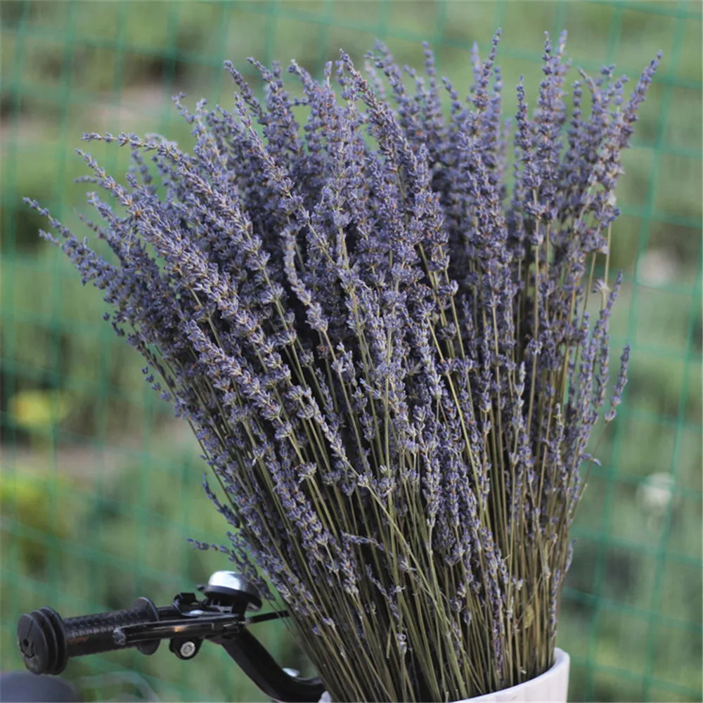 Pure Natural Dried Lavender Buds – Fragrant, Aromatic for Sachets and Potpourri