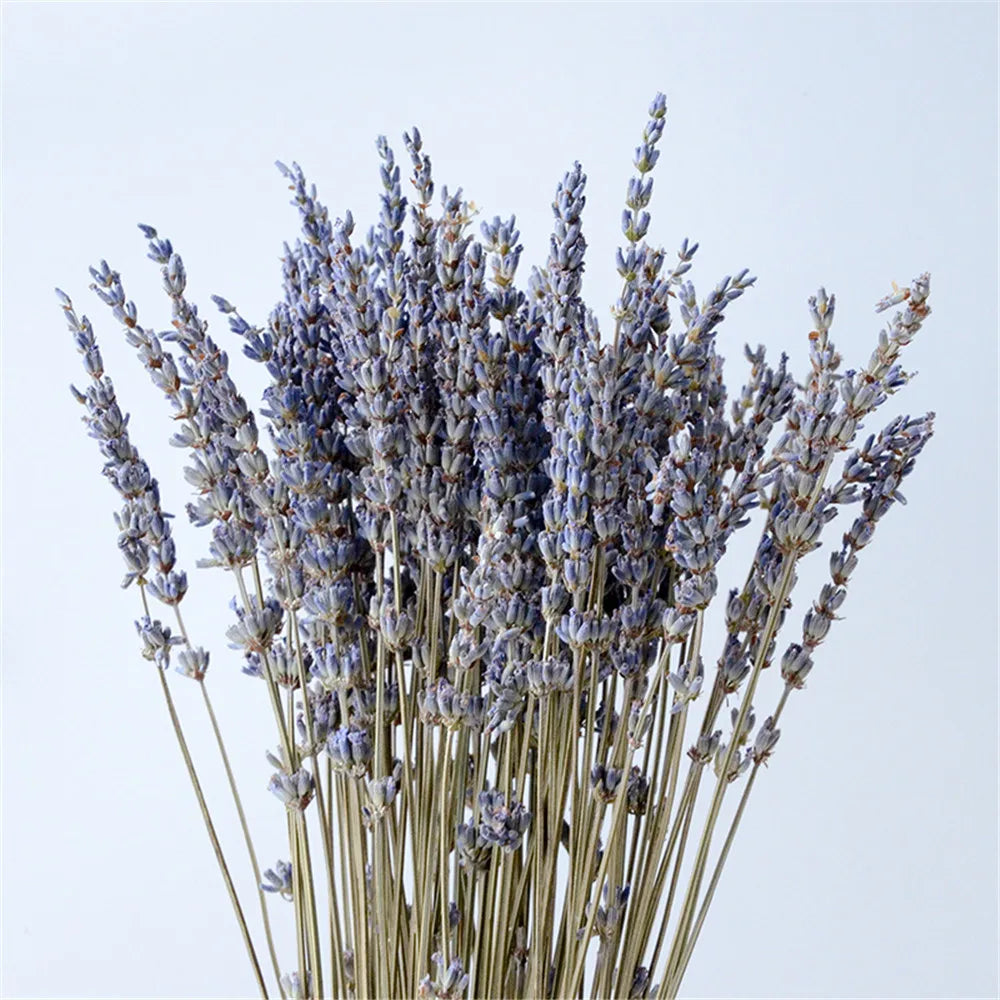 Pure Natural Dried Lavender Buds – Fragrant, Aromatic for Sachets and Potpourri