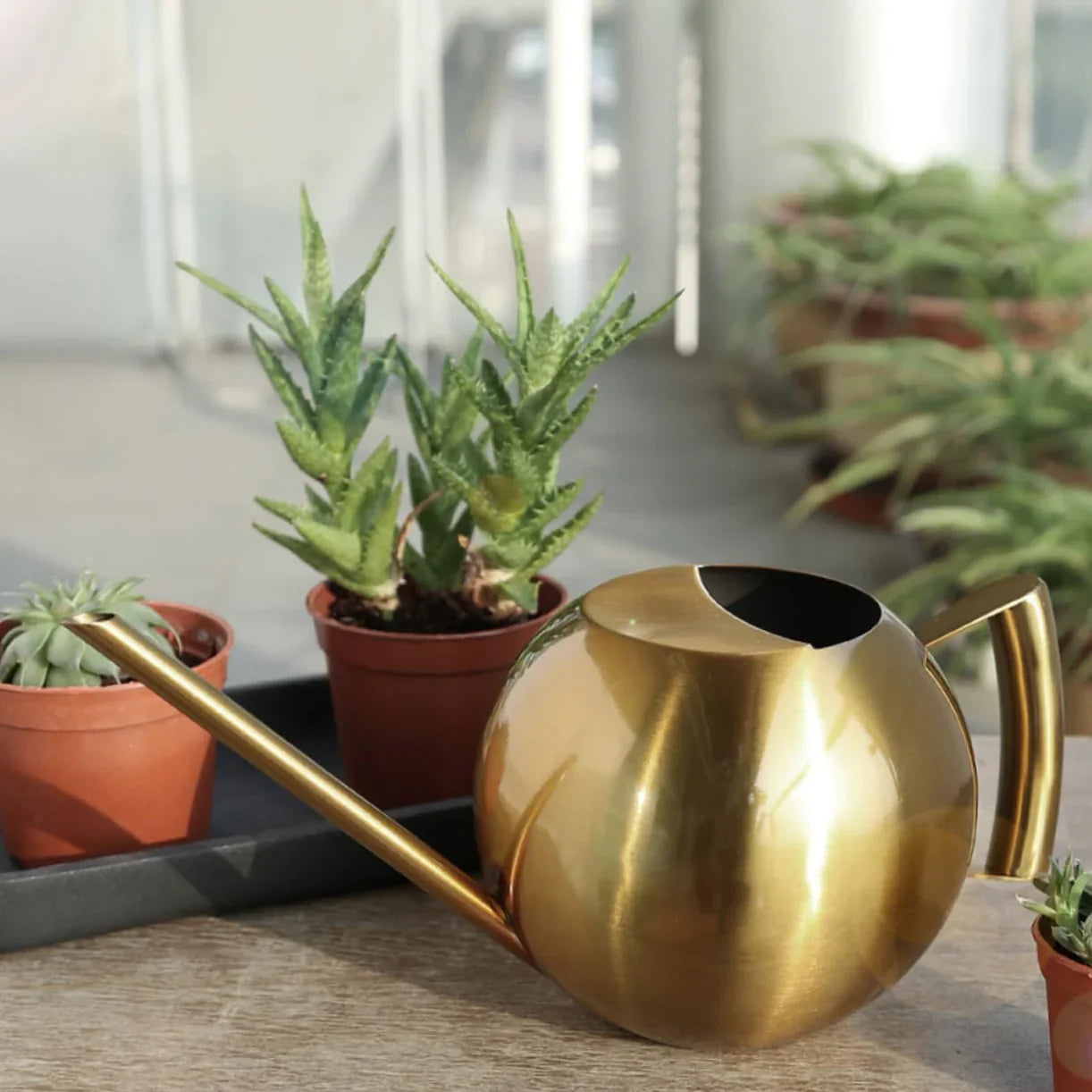 Sleek Minimalist Plant Watering Can