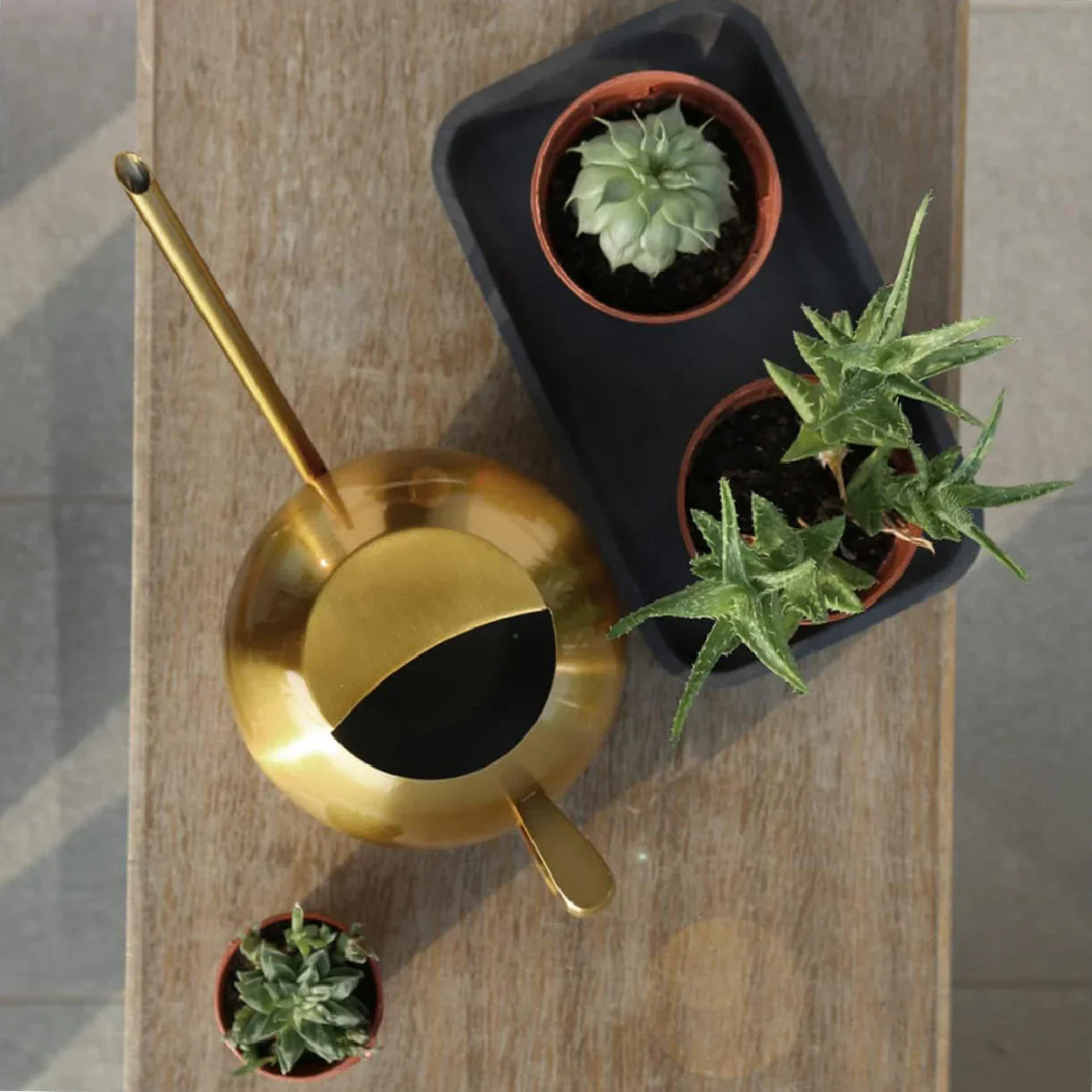 Sleek Minimalist Plant Watering Can