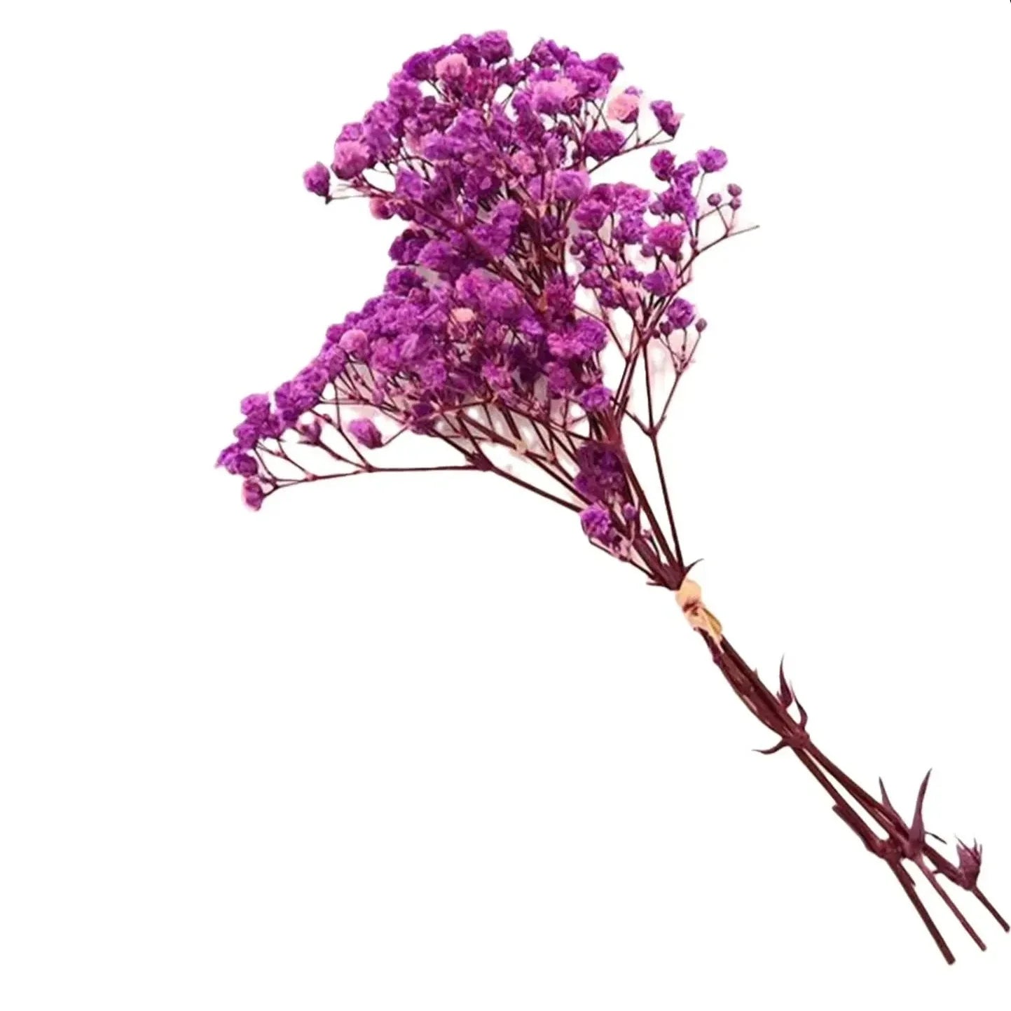 Natural Dried Baby's Breath – Delicate, Long-Lasting Floral Decor