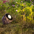 Solar Stone Pathway Lights - Elegant Outdoor Path Lighting