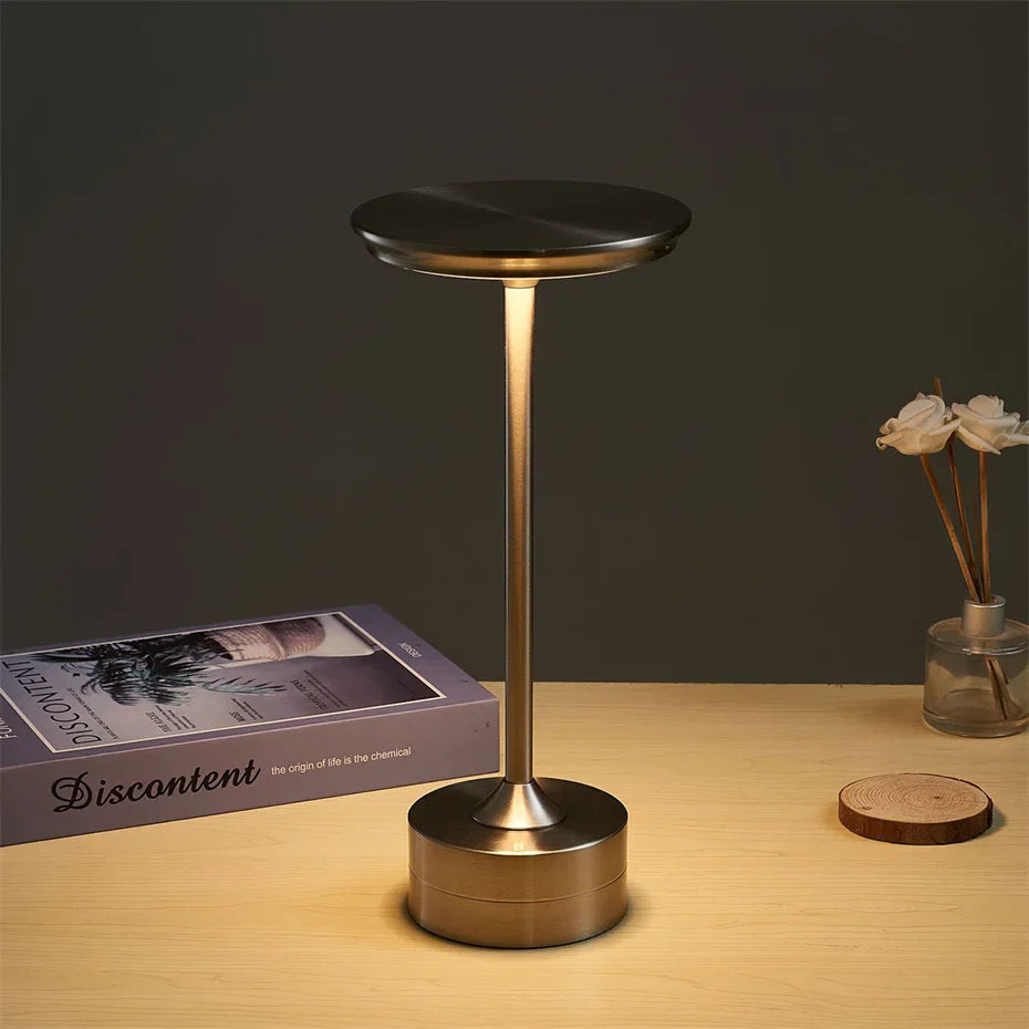 Sleek Metal Lamp for Modern Interiors