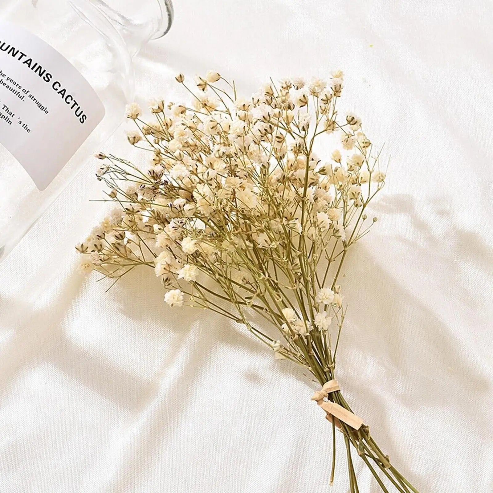 Natural Dried Baby's Breath – Delicate, Long-Lasting Floral Decor