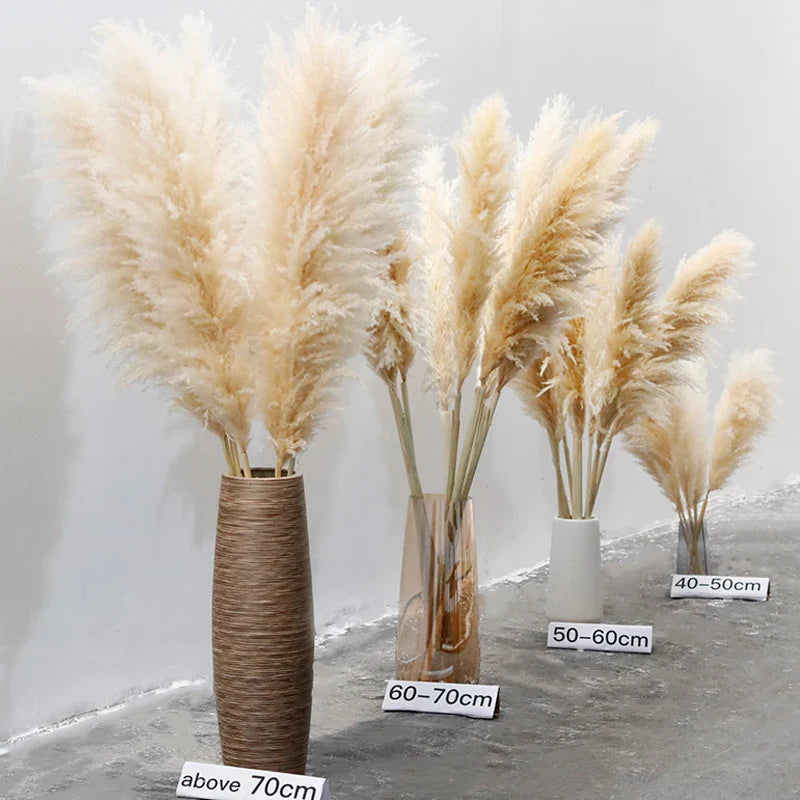 10-Piece Natural Dried Grass Plume Set