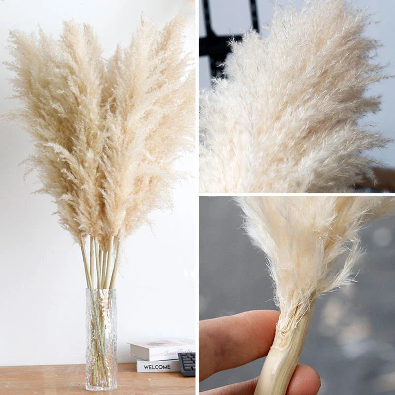 10-Piece Natural Dried Grass Plume Set