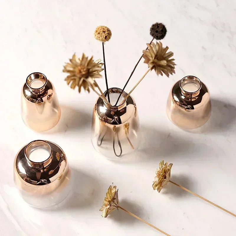 Gradient Vases - Modern Ombre Glass Decor