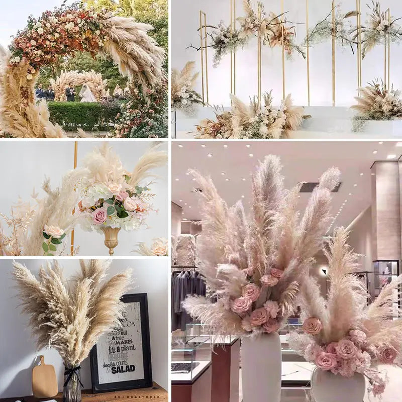 10-Piece Natural Dried Grass Plume Set