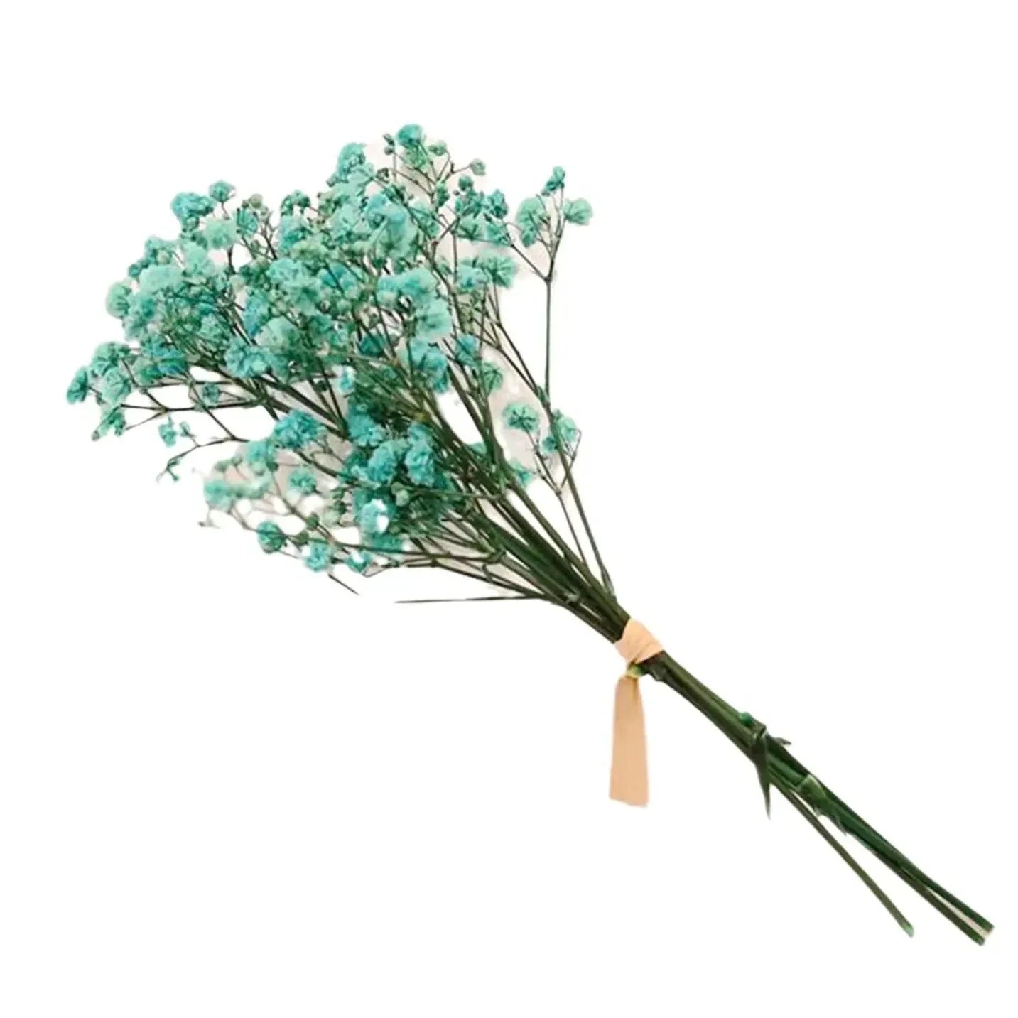 Natural Dried Baby's Breath – Delicate, Long-Lasting Floral Decor