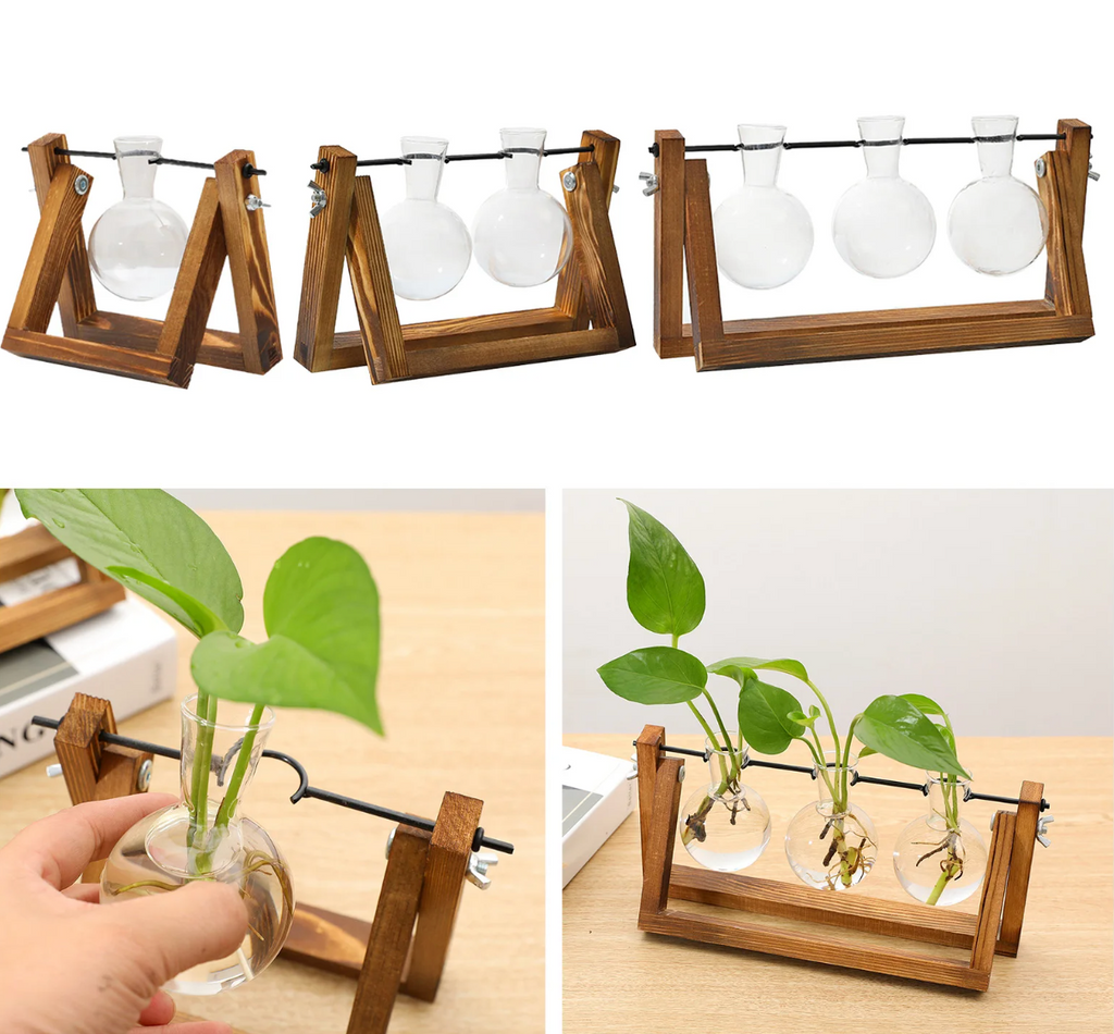 Multi-Tier Plant Propagation Stand for Easy Cloning and Growth