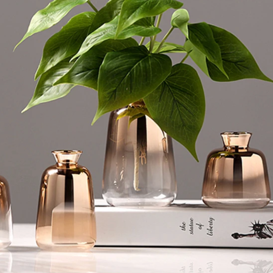 Gradient Vases - Modern Ombre Glass Decor