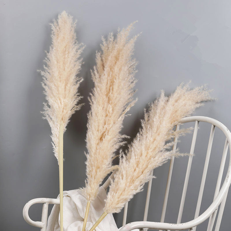 10-Piece Natural Dried Grass Plume Set