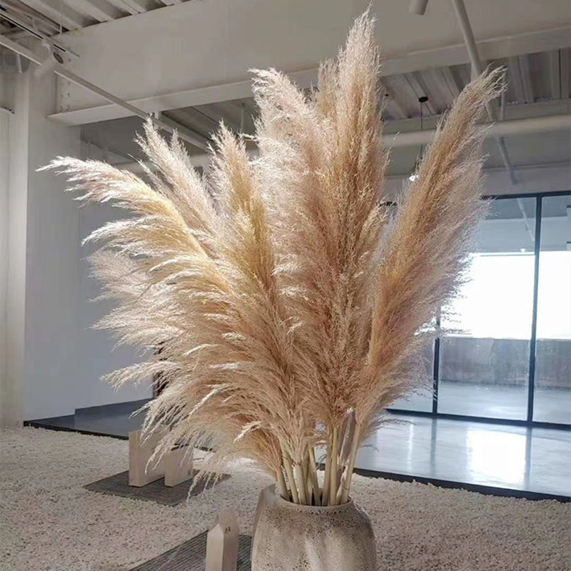 10-Piece Natural Dried Grass Plume Set