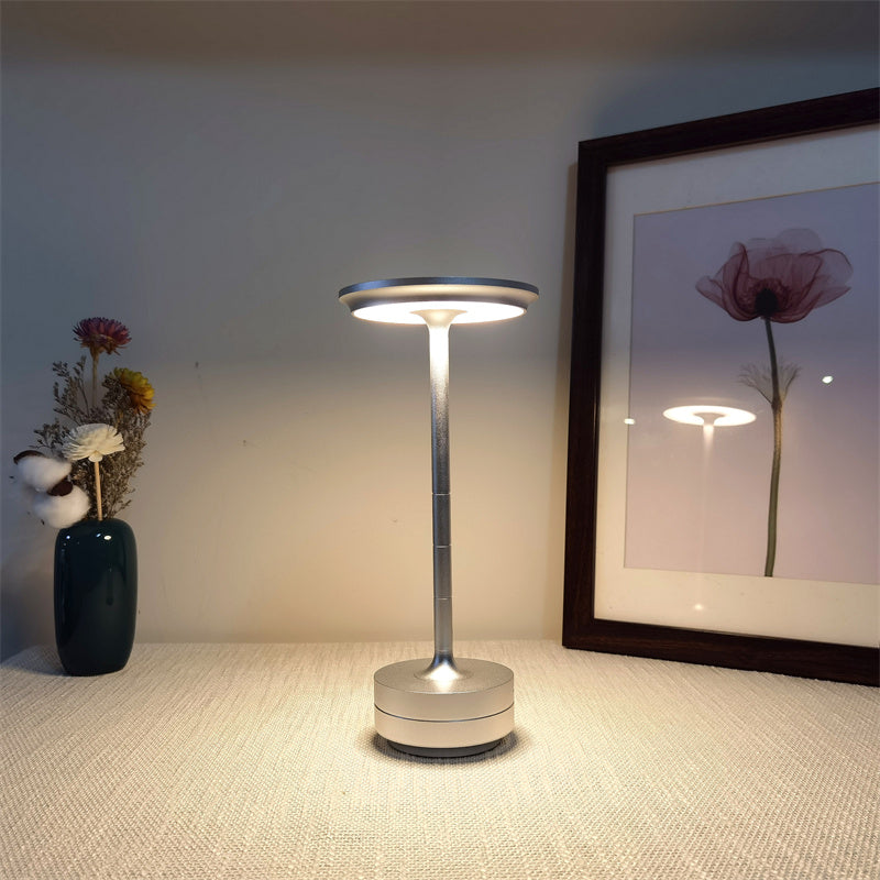 Sleek Metal Lamp for Modern Interiors