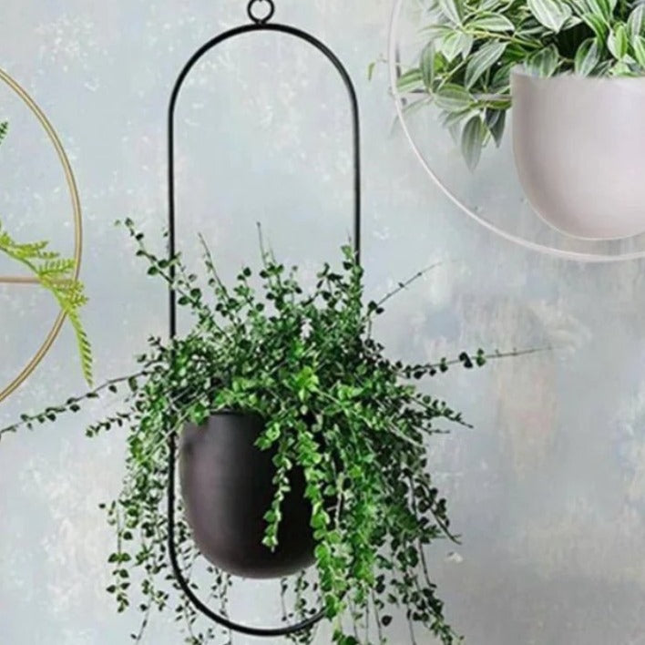Halo Hanging Planter - Modern, Elegant Orb Plant Pot