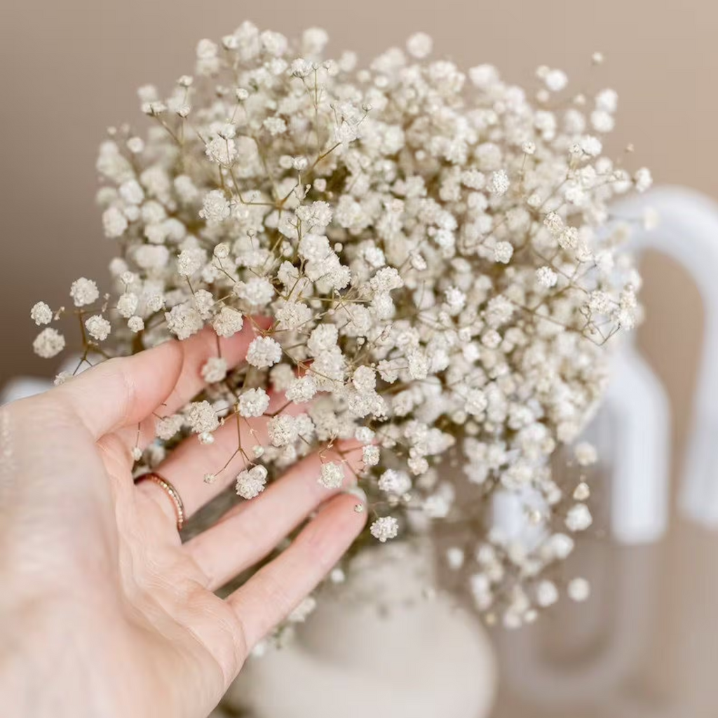 Natural Dried Baby's Breath – Delicate, Long-Lasting Floral Decor