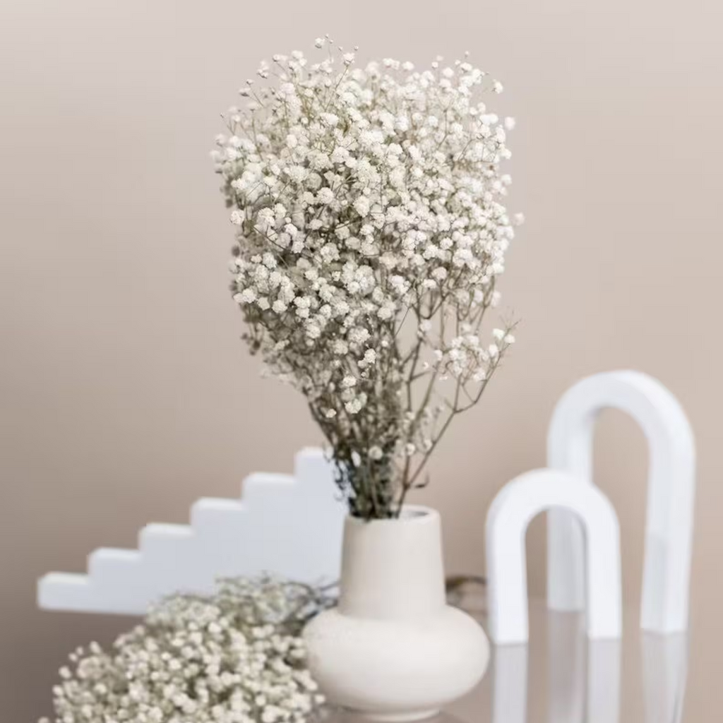Natural Dried Baby's Breath – Delicate, Long-Lasting Floral Decor