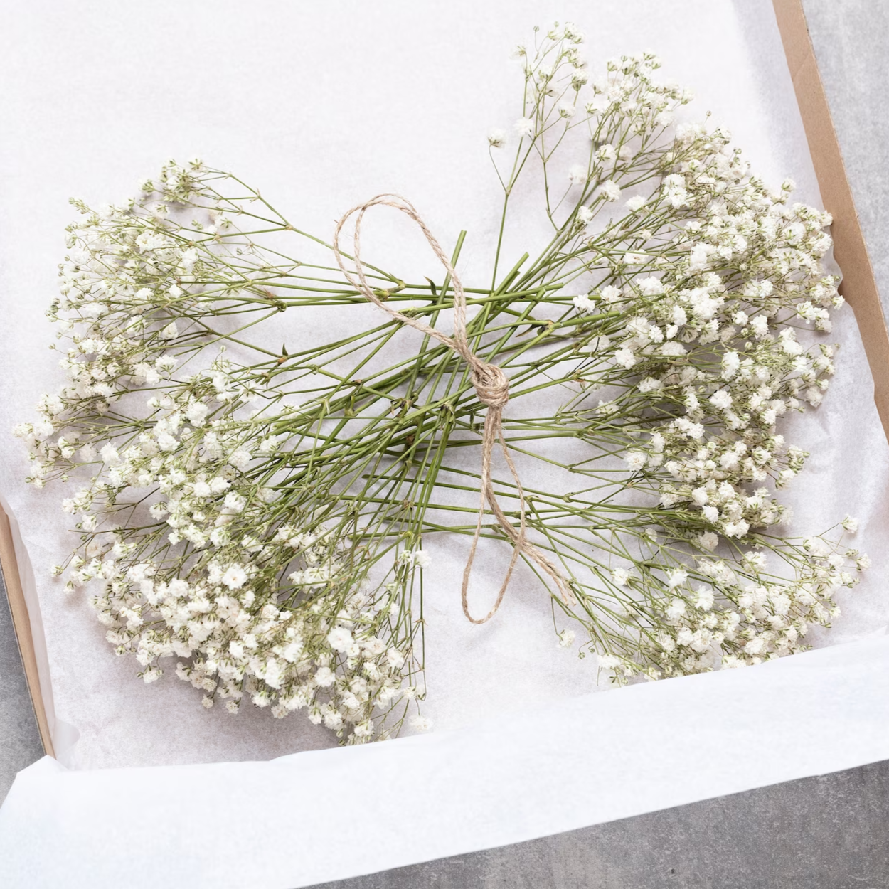 Natural Dried Baby's Breath – Delicate, Long-Lasting Floral Decor