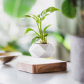 Floating Flower Pot — Mesmerizing Levitating Plant Display