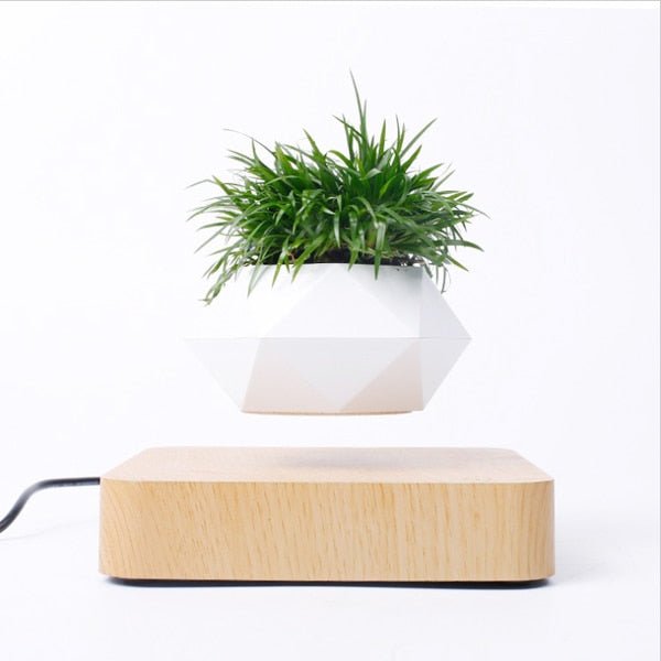 Floating Flower Pot — Mesmerizing Levitating Plant Display