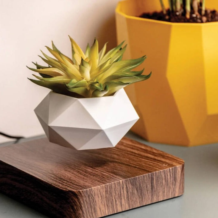 Floating Flower Pot — Mesmerizing Levitating Plant Display