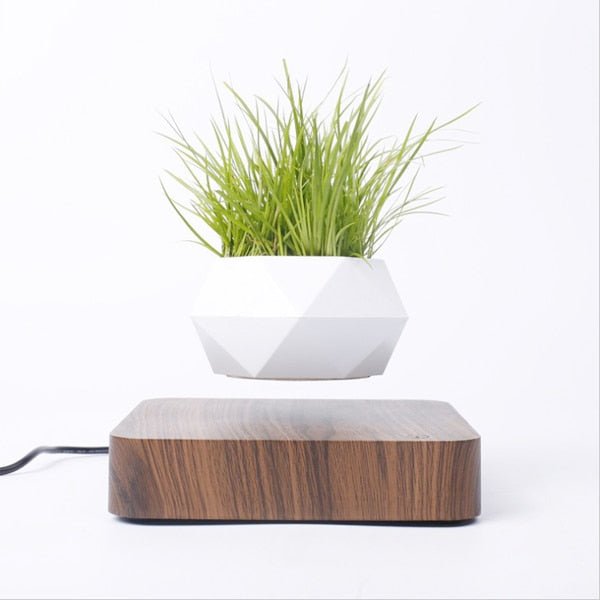 Floating Flower Pot — Mesmerizing Levitating Plant Display