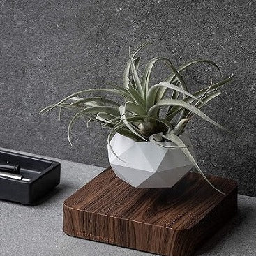 Floating Flower Pot — Mesmerizing Levitating Plant Display