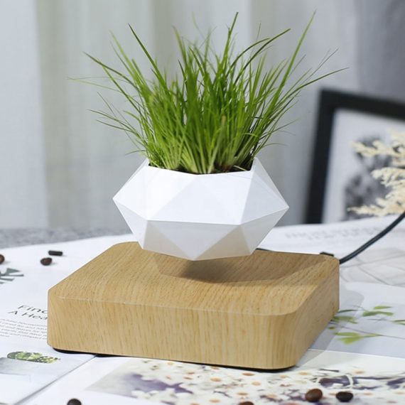 Floating Flower Pot — Mesmerizing Levitating Plant Display