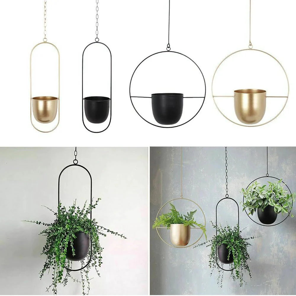 Halo Hanging Planter - Modern, Elegant Orb Plant Pot