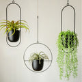 Halo Hanging Planter - Modern, Elegant Orb Plant Pot