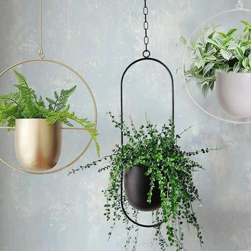 Halo Hanging Planter - Modern, Elegant Orb Plant Pot